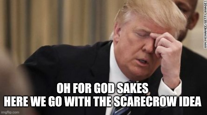 FML Trump Facepalm | OH FOR GOD SAKES 
HERE WE GO WITH THE SCARECROW IDEA | image tagged in fml trump facepalm | made w/ Imgflip meme maker