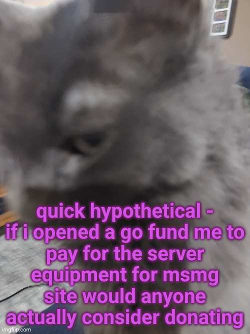 32's Cat | quick hypothetical -

if i opened a go fund me to pay for the server equipment for msmg site would anyone actually consider donating | image tagged in 32's cat | made w/ Imgflip meme maker