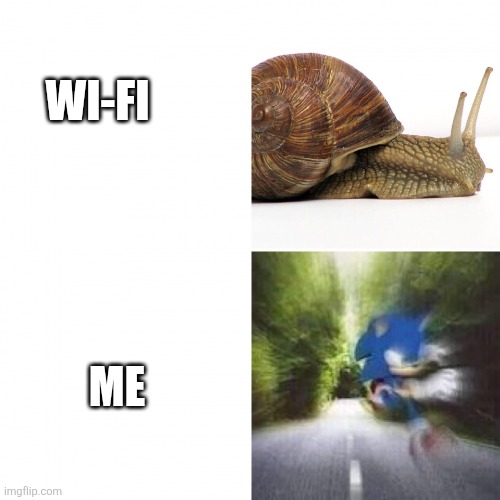 WI-FI ME | image tagged in sonic vs snail | made w/ Imgflip meme maker