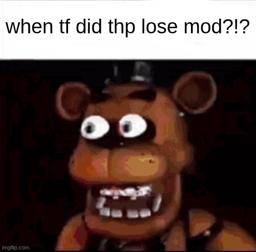 (mild glazing) the most og user of og users was declined in favor of manticore. | when tf did thp lose mod?!? | image tagged in shocked freddy fazbear | made w/ Imgflip meme maker