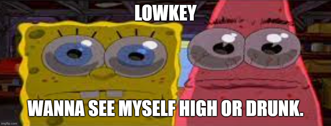 ofc im never going too since im a pussy | LOWKEY; WANNA SEE MYSELF HIGH OR DRUNK. | image tagged in sobgih ans patbur | made w/ Imgflip meme maker