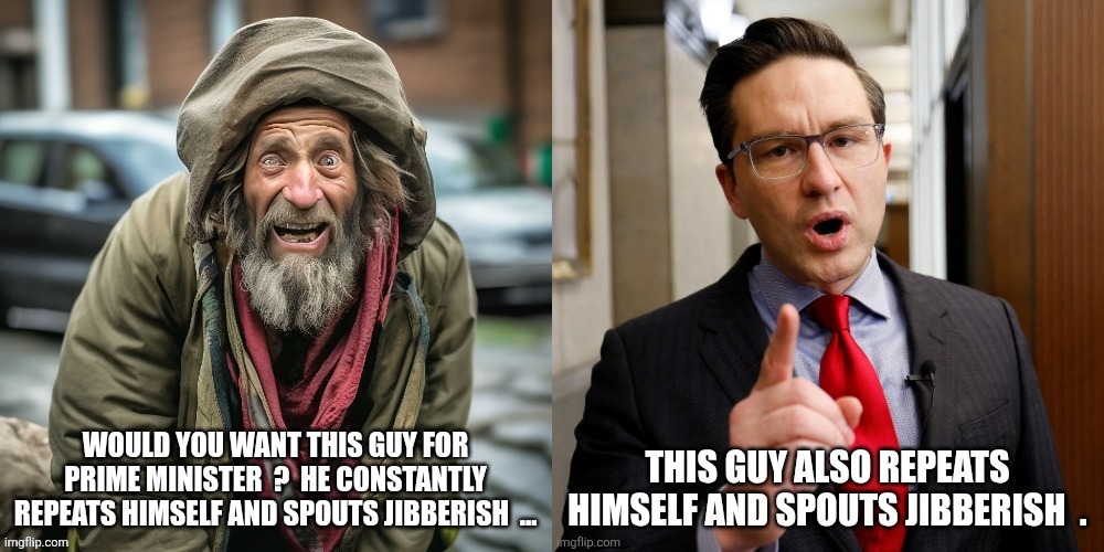 Canadian politics | image tagged in political meme | made w/ Imgflip meme maker