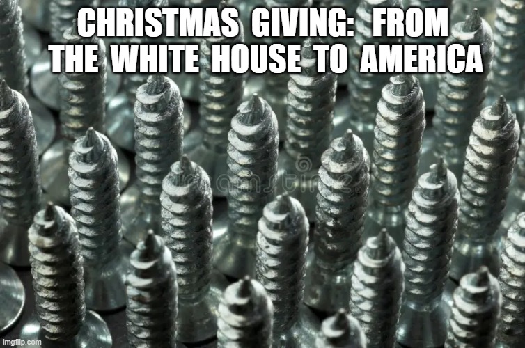Tight Screwing | CHRISTMAS  GIVING:   FROM  THE  WHITE  HOUSE  TO  AMERICA | image tagged in screw you | made w/ Imgflip meme maker