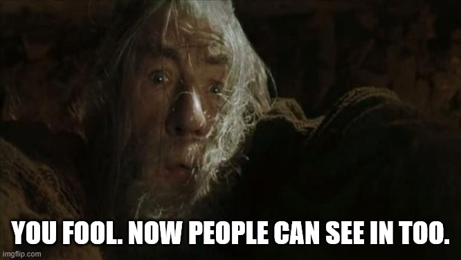 Fly You Fools | YOU FOOL. NOW PEOPLE CAN SEE IN TOO. | image tagged in fly you fools | made w/ Imgflip meme maker