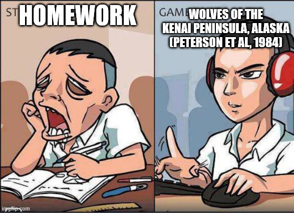 finals cram is going swimmingly | HOMEWORK; WOLVES OF THE KENAI PENINSULA, ALASKA (PETERSON ET AL, 1984) | image tagged in study time vs game time | made w/ Imgflip meme maker
