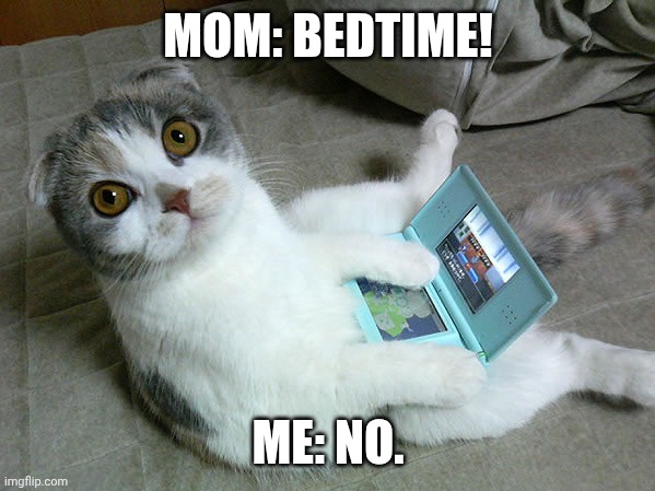 Cats W/ Computers | MOM: BEDTIME! ME: NO. | image tagged in cats w/ computers | made w/ Imgflip meme maker