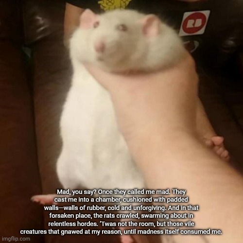 Grabbing a fat rat | Mad, you say? Once they called me mad. They cast me into a chamber, cushioned with padded walls—walls of rubber, cold and unforgiving. And in that forsaken place, the rats crawled, swarming about in relentless hordes. ’Twas not the room, but those vile creatures that gnawed at my reason, until madness itself consumed me. | image tagged in grabbing a fat rat | made w/ Imgflip meme maker