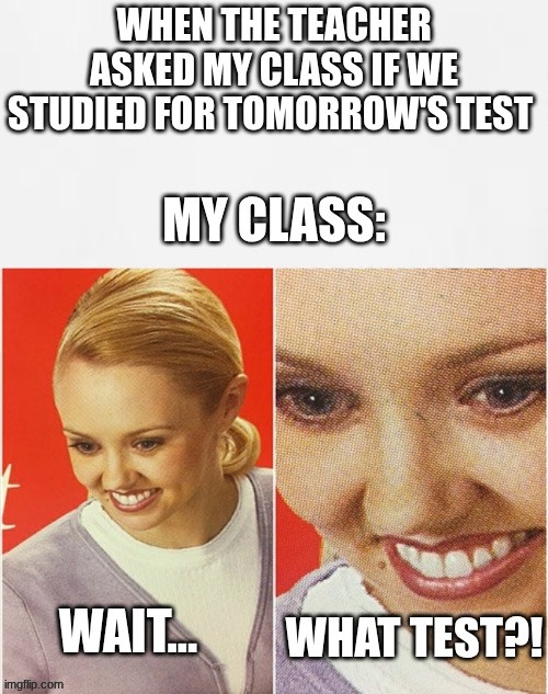Wait...WHAT TEST?!?! | image tagged in wait what,memes,funny,funny memes | made w/ Imgflip meme maker