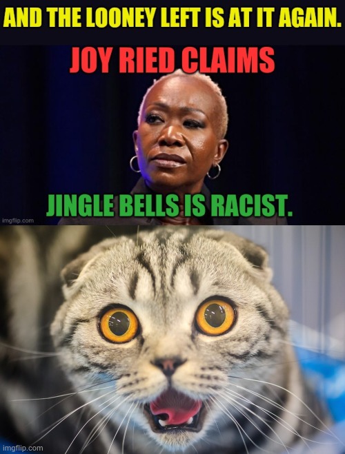 Ho...Ho...Ho...Christmas Is Coming | image tagged in scared cat,joy,jingle bells,racist,politics,memes | made w/ Imgflip meme maker