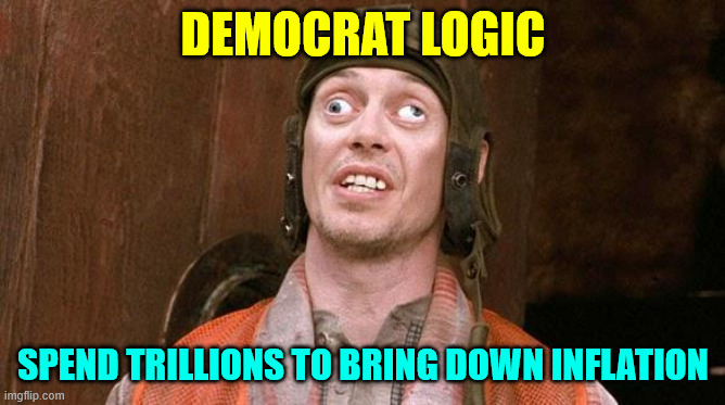 Steve Buscemi | DEMOCRAT LOGIC SPEND TRILLIONS TO BRING DOWN INFLATION | image tagged in steve buscemi | made w/ Imgflip meme maker