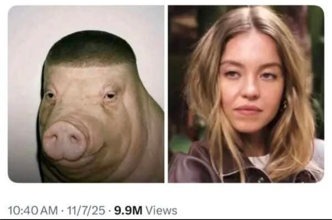 Average Eastern European Couple Blank Meme Template