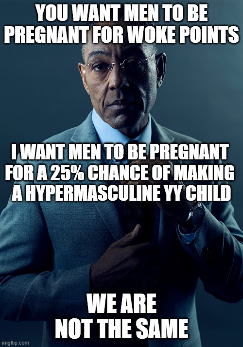 25% chance of making a hypermasculine YY child | YOU WANT MEN TO BE PREGNANT FOR WOKE POINTS; I WANT MEN TO BE PREGNANT 
FOR A 25% CHANCE OF MAKING 
A HYPERMASCULINE YY CHILD; WE ARE NOT THE SAME | image tagged in we are not the same,alpha male,hypermasulinity,chromosomes | made w/ Imgflip meme maker