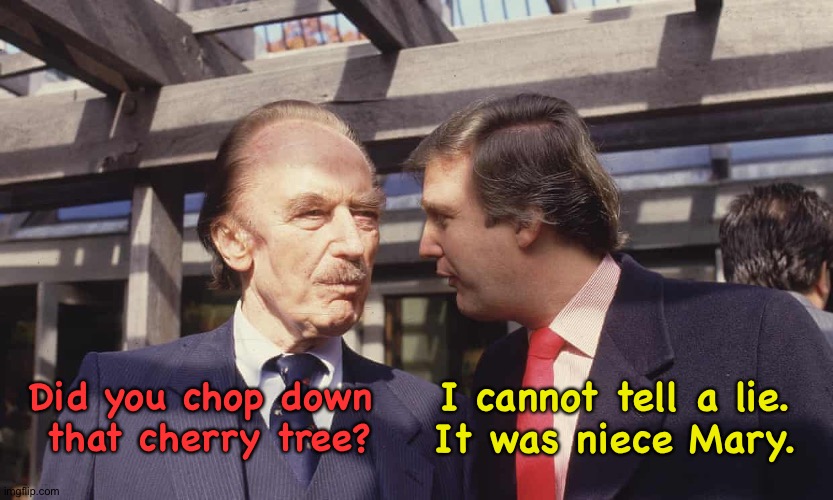 Did you chop down 
that cherry tree? I cannot tell a lie.
It was niece Mary. | image tagged in fred trump early-onset alzheimers and his stupid son donald | made w/ Imgflip meme maker