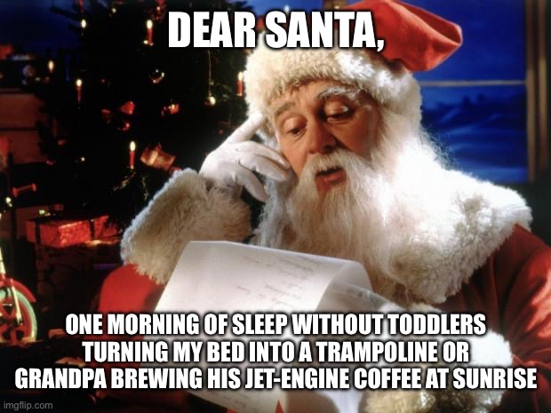 Sleep in one morning | DEAR SANTA, ONE MORNING OF SLEEP WITHOUT TODDLERS TURNING MY BED INTO A TRAMPOLINE OR GRANDPA BREWING HIS JET-ENGINE COFFEE AT SUNRISE | image tagged in dear santa | made w/ Imgflip meme maker