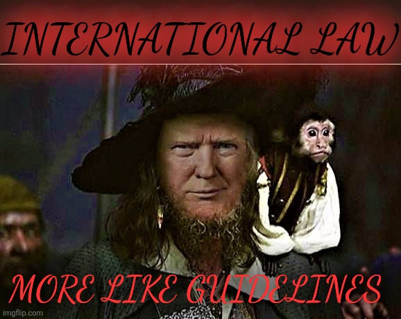 Pirate Trump | INTERNATIONAL LAW MORE LIKE GUIDELINES | image tagged in pirate trump | made w/ Imgflip meme maker