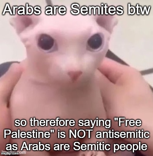 bingus | Arabs are Semites btw; so therefore saying "Free Palestine" is NOT antisemitic as Arabs are Semitic people | image tagged in bingus | made w/ Imgflip meme maker