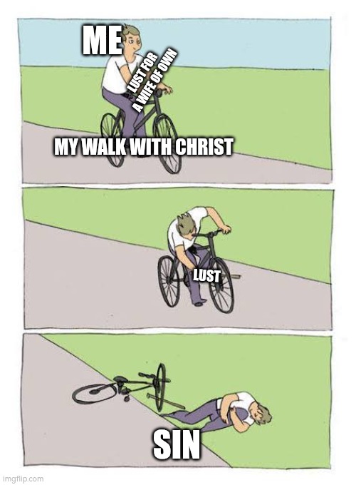 Proverbs 24:16 | ME; LUST FOR A WIFE OF OWN; MY WALK WITH CHRIST; LUST; SIN | image tagged in self sabotage,jesus,christianity | made w/ Imgflip meme maker