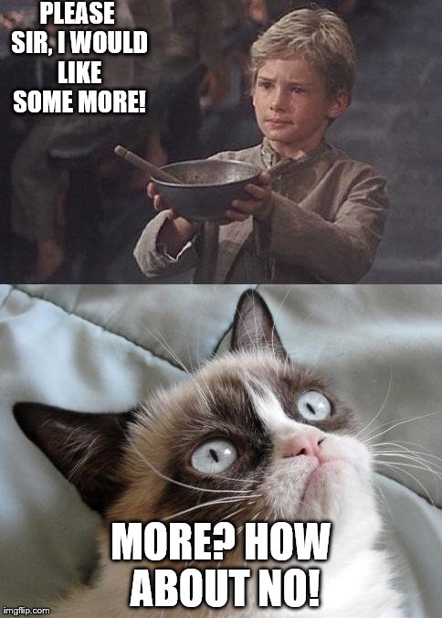 PLEASE SIR, I WOULD LIKE SOME MORE! MORE? HOW ABOUT NO! | image tagged in oliver-grumpy cat | made w/ Imgflip meme maker