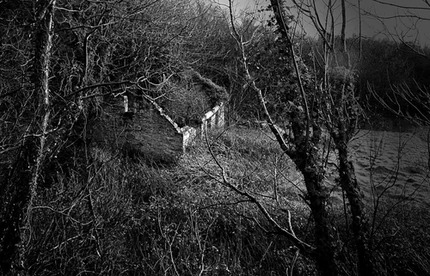 shady gray Blank Meme Template