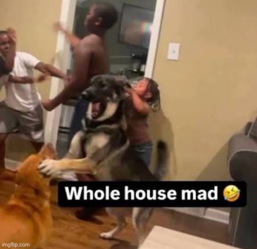 rage | made w/ Imgflip meme maker