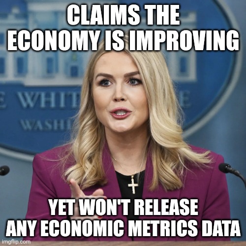 It's still feels like a recession even if you don't call it | CLAIMS THE ECONOMY IS IMPROVING; YET WON'T RELEASE ANY ECONOMIC METRICS DATA | image tagged in karoline leavitt,maga,economy,failing,liar liar pants on fire | made w/ Imgflip meme maker