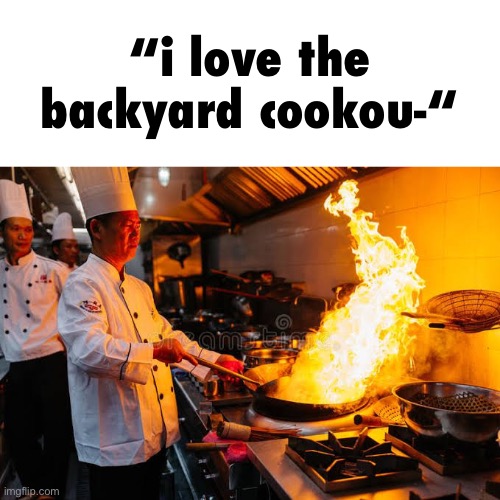 Fire cook | “i love the backyard cookou-“ | image tagged in fire cook | made w/ Imgflip meme maker