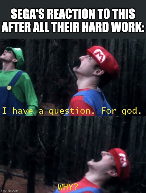 I have a question. For god...WHY? | SEGA'S REACTION TO THIS AFTER ALL THEIR HARD WORK: | image tagged in i have a question for god why | made w/ Imgflip meme maker