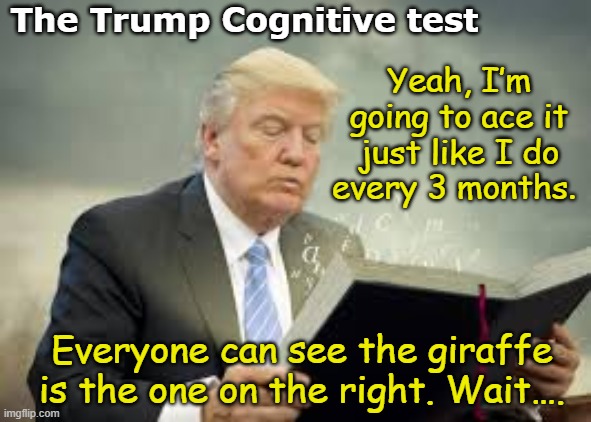 Trump Cognitive Test | The Trump Cognitive test; Yeah, I’m going to ace it just like I do every 3 months. Everyone can see the giraffe is the one on the right. Wait…. | image tagged in presidential alert,donald trump,maga,donald trump is an idiot,donald trump approves,gop | made w/ Imgflip meme maker