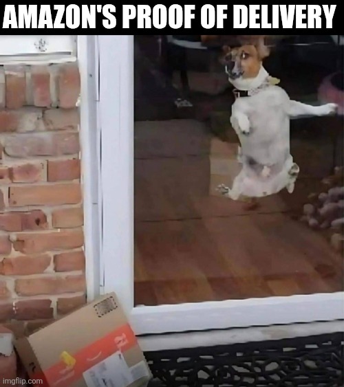 Amazon's Proof Of Delivery | AMAZON'S PROOF OF DELIVERY | image tagged in chrisjoines1 | made w/ Imgflip meme maker