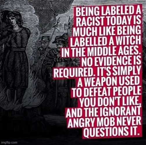 Truth of the Day | image tagged in democrats,leftists,liberalism,race card,overused,victims | made w/ Imgflip meme maker