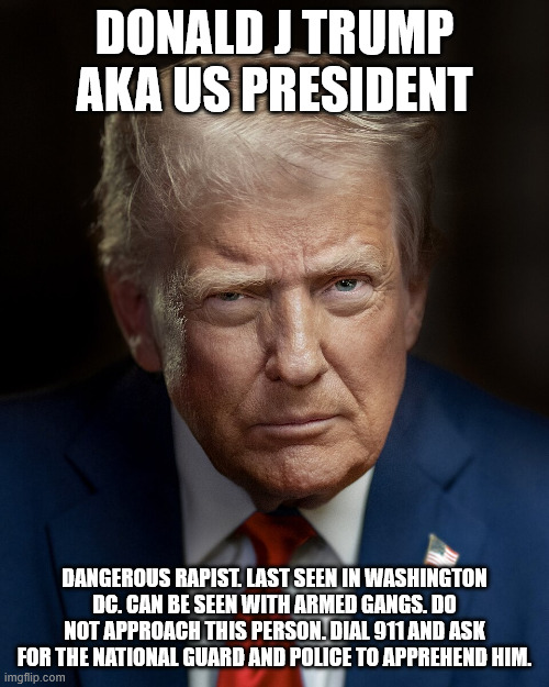 Conspirator in the Epstein crimes. | DONALD J TRUMP AKA US PRESIDENT; DANGEROUS RAPIST. LAST SEEN IN WASHINGTON DC. CAN BE SEEN WITH ARMED GANGS. DO NOT APPROACH THIS PERSON. DIAL 911 AND ASK FOR THE NATIONAL GUARD AND POLICE TO APPREHEND HIM. | image tagged in donald trump,jeffrey epstein,pedophile,donald trump approves,criminals,human rights | made w/ Imgflip meme maker