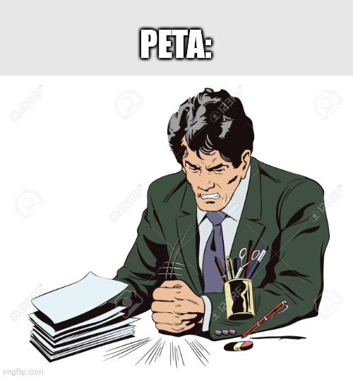 Slamming Table | PETA: | image tagged in slamming table | made w/ Imgflip meme maker