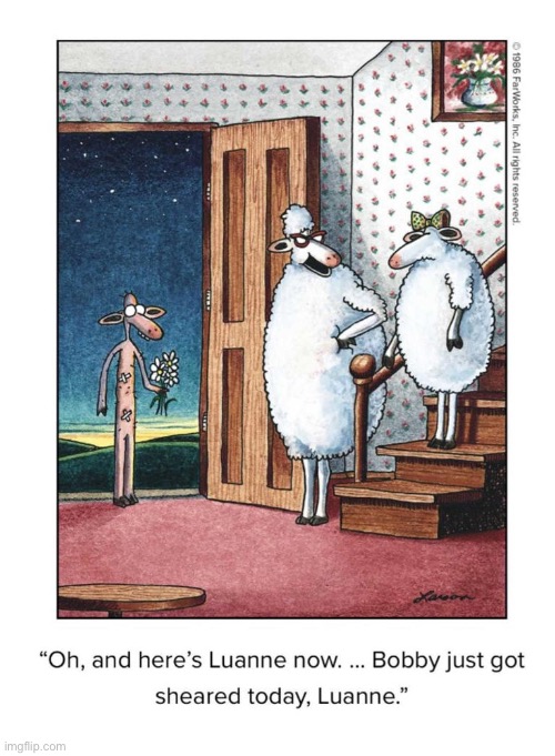 Talk about awkward… | image tagged in the far side,comics,sheep,date,sheared | made w/ Imgflip meme maker