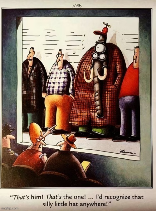 Yeah, it was the hat that gave it away… | image tagged in the far side,comics,police station,lineup,freak,funny hat | made w/ Imgflip meme maker