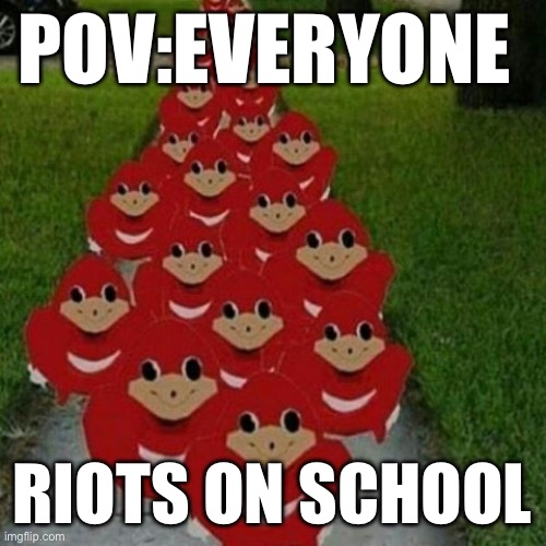 Ugandan knuckles army | POV:EVERYONE; RIOTS ON SCHOOL | image tagged in ugandan knuckles army | made w/ Imgflip meme maker