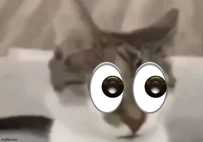 Let's take a LOOK at this trend. | image tagged in bombastic side eye cat | made w/ Imgflip meme maker