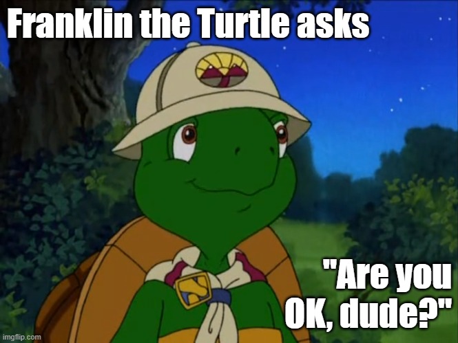 Franklin the Turtle | Franklin the Turtle asks; "Are you OK, dude?" | image tagged in franklin the turtle | made w/ Imgflip meme maker