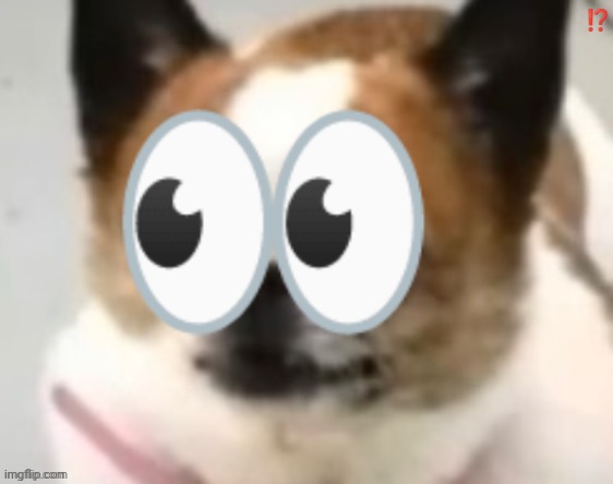 bombastic side eye dog | ⁉️; 👀 | image tagged in bombastic side eye dog | made w/ Imgflip meme maker