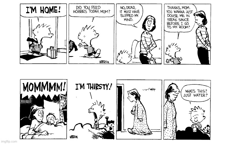 image tagged in calvin and hobbes,comics | made w/ Imgflip meme maker