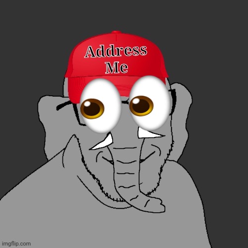 Address me | image tagged in address me | made w/ Imgflip meme maker