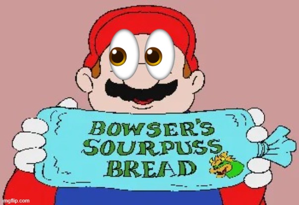 oh not the pussy plumber again. anyways i'm Lefty Mario | image tagged in bowser's sourpuss bread | made w/ Imgflip meme maker