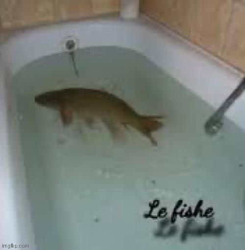 :3 | image tagged in le fishe | made w/ Imgflip meme maker