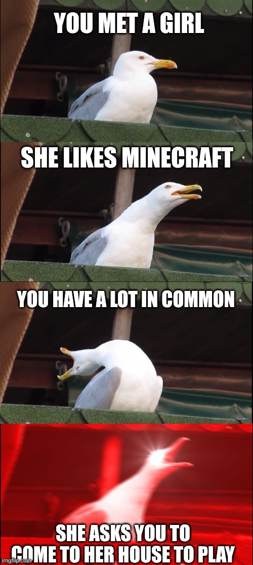 Minecraft meme lol | YOU MET A GIRL; SHE LIKES MINECRAFT; YOU HAVE A LOT IN COMMON; SHE ASKS YOU TO COME TO HER HOUSE TO PLAY | image tagged in memes,inhaling seagull | made w/ Imgflip meme maker