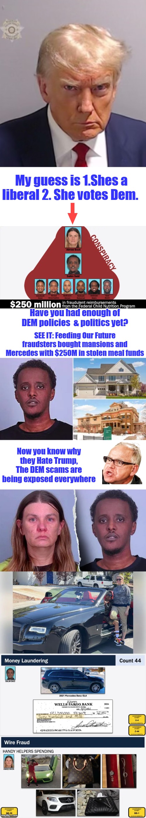 The Cause of TDS is now Know. Must be white privilege right dems. | My guess is 1.Shes a liberal 2. She votes Dem. Have you had enough of DEM policies  & politics yet? SEE IT: Feeding Our Future fraudsters bought mansions and Mercedes with $250M in stolen meal funds; Now you know why they Hate Trump, The DEM scams are being exposed everywhere | image tagged in donald trump mugshot | made w/ Imgflip meme maker