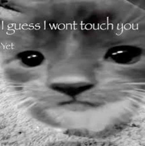 I guess I won't touch you | image tagged in i guess i won't touch you | made w/ Imgflip meme maker