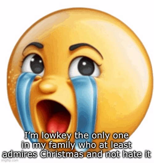 Realistic sob crying emoji | I’m lowkey the only one in my family who at least admires Christmas and not hate it | image tagged in realistic sob crying emoji | made w/ Imgflip meme maker
