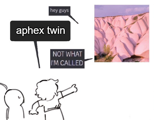 doesnt even sound remotely to him | aphex twin | image tagged in not what im called | made w/ Imgflip meme maker