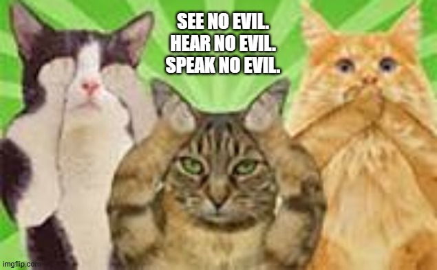 Cats: See no evil. Hear no evil. Speak no evil. | SEE NO EVIL. HEAR NO EVIL. SPEAK NO EVIL. | image tagged in cat,kittens,funny,humor,christmas | made w/ Imgflip meme maker
