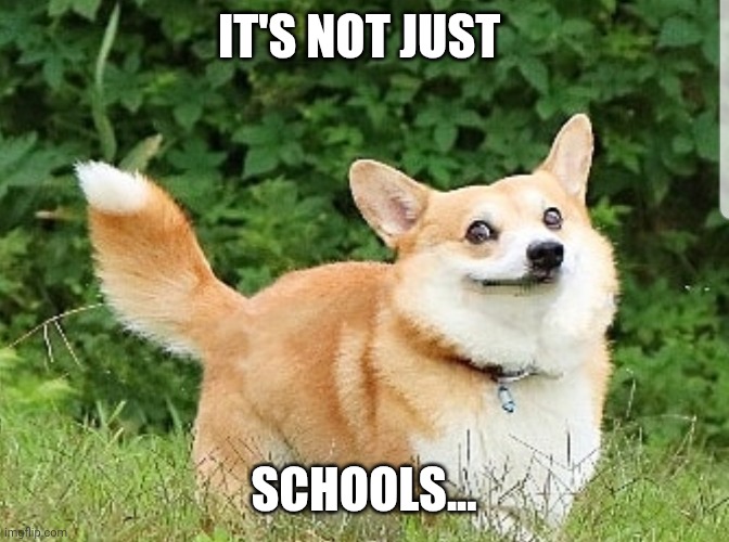 OK Boomer Corgi | IT'S NOT JUST SCHOOLS... | image tagged in ok boomer corgi | made w/ Imgflip meme maker