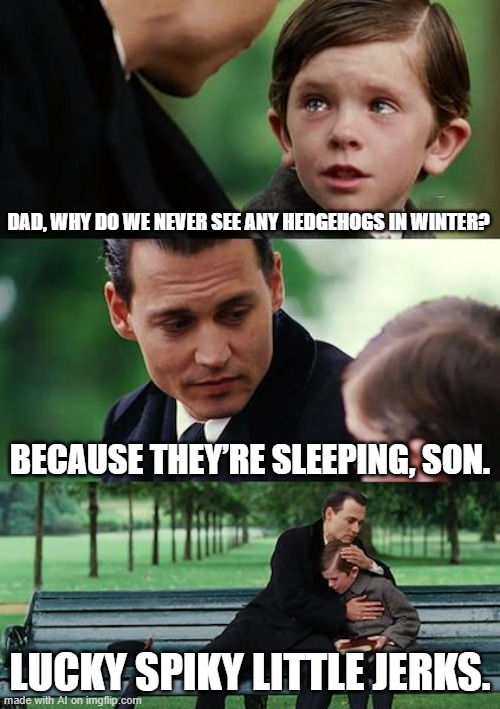 Hedgehogs | DAD, WHY DO WE NEVER SEE ANY HEDGEHOGS IN WINTER? BECAUSE THEY’RE SLEEPING, SON. LUCKY SPIKY LITTLE JERKS. | image tagged in memes,finding neverland | made w/ Imgflip meme maker